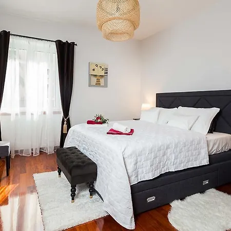 Apartment Celebration *